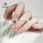 Brilliant Rainbow Silver Holographic Laser Unicorn Chrome Magnetic Nail Powder