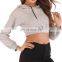 Custom Fall Winter Crop Top Hoodie Sweatshirts Suit Jogging Tracksuit Two Piece Pants Set Women