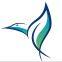 Zhongshan Blue Kingfisher New Environmentally Friendly Materials Co., Ltd.