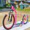 2016 New Adult 2 Wheel BALANCE Dog Kick Scooter for Sale