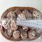 Chinese Dried Flower Shiitake Mushroom with Cap 3-4 CM