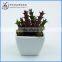 Mini artificial cactus plant with pot for indoor decoration