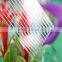 Low cost 15 years warranty double wall plastic polycarbonate agriculture greenhouse for sale