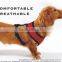 Breathable light harness M size durable dog harness