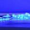 RGB SMD 5050 60LED/M Strip LED Tape Waterproof IP65 5 Meter One Roll CE RoHs Certificate New