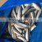 Frozen Mackerel HGT, pacific mackerel fish price, export pacific mackerel