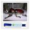 Simulation mechanical foam insect model