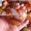 natural polished agate jasper stone hearts home decorations gifts