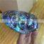 Polished Abalone Colorful Shell For Sale