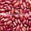 20015 New Crop British Type Dark Red Kidney Beans