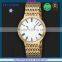 FS FLOWER - Clascial Thin Stainless Steel Watch Case Quartz Watch Mens  French China Made