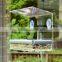 Petfusion Tranquility Window Bird Feeder in PREMIUM LUCITE ACRYLIC