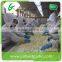 jining fresh peeled garlic 1kg
