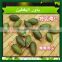 new crop Hot Chinese shine skin pumpkin seeds , benefits of pumpkin seed
