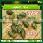 Unhulled Shine Skin Pumpkin seeds,10mm 11mm 12mm New Crop