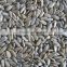 hulled sunflower seeds price confectionery grade&bakery grade