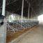 Free Stall Barn Dairy Cow Comfortable Free Stall