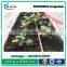 RUNNONG agriculture drip watering system of drip tape