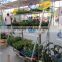 A12 Garden center flower pot plant display trolley