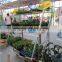 A56 flower pot garden center display show frames