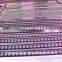 Wifi Controller LED Grow Light 54w For Greenhouse Project New Technolgy Smart LED Lighting