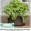 Garden Plants Bag,Tomatoes Plant Bag , Peppers, Herbs and Potatoes Growing Bag