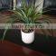 Factory Price Desk Set Decoration Mini Artificial Bonsai