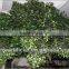 GNW BTR056 artificial banyan tree half tree for wall decoration