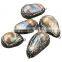 Wholesale jewelry natural abalone shell pendant