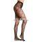 Beauty's Love Revealing Fancy Lingerie Transparent Jacquard stocking Women Underwear sexy hot stocking Fishnet Pantyhose