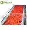 High Quality Fruit Jam Production Line In Shanghai