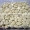 2016 new crop peeled fresh garlic clove