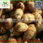 2015 China Fresh taro wholesale export
