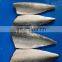 Best selling IQF boneless pacific mackerel fish fillet