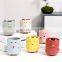 Cartoon Small Animal Ceramic Succulent Flowerpot Painted Pottery Green Plant Flower Pot Ceramic Pots