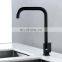 Rapsel single cold tap stainless steel  matte black lead free kitchen faucet