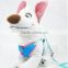 Pet product factory stock dog leash and harness