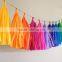 Wedding Party Decoration Tissue Paper Tassel Garland