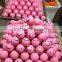 round colorful PU foam stress toy ball