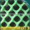 Guangzhou Plastic Flat Net/ Plastic Flat Wire Netting/ Green Plastic Flat Mesh