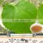 Natural Mulberry Extract DNJ White Mulberry Leaf Extract