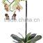wholesale 15-150cm artificial flowers, artificial orchid,artificial plants
