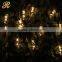 Popular best price high quality led festoon light