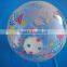 inflatable toy beach ball