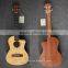 Ukulele in different colour