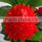 China wholesale home decoration artificial bonsai tree plastic artificial plants bonsai handmade artificial bonsai