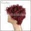 short cosplay wig lace wig human hair for christmas or halloween party wig
