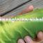 Latest 100% Silk Sleeping Bag