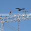 intelligent wind driving solar ultrasonic bird repellers