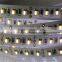 10mm width SMD 5050 white + warm white CCT changing LED flexible strip